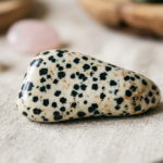 jaspe dalmatien vertus